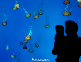 Jellyfish Parenting: The Cool Way to Raise Happy Kids