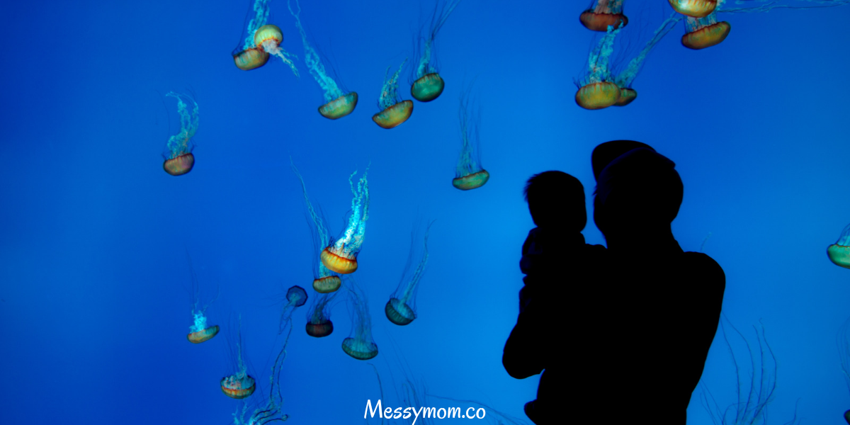 Jellyfish Parenting: The Cool Way to Raise Happy Kids